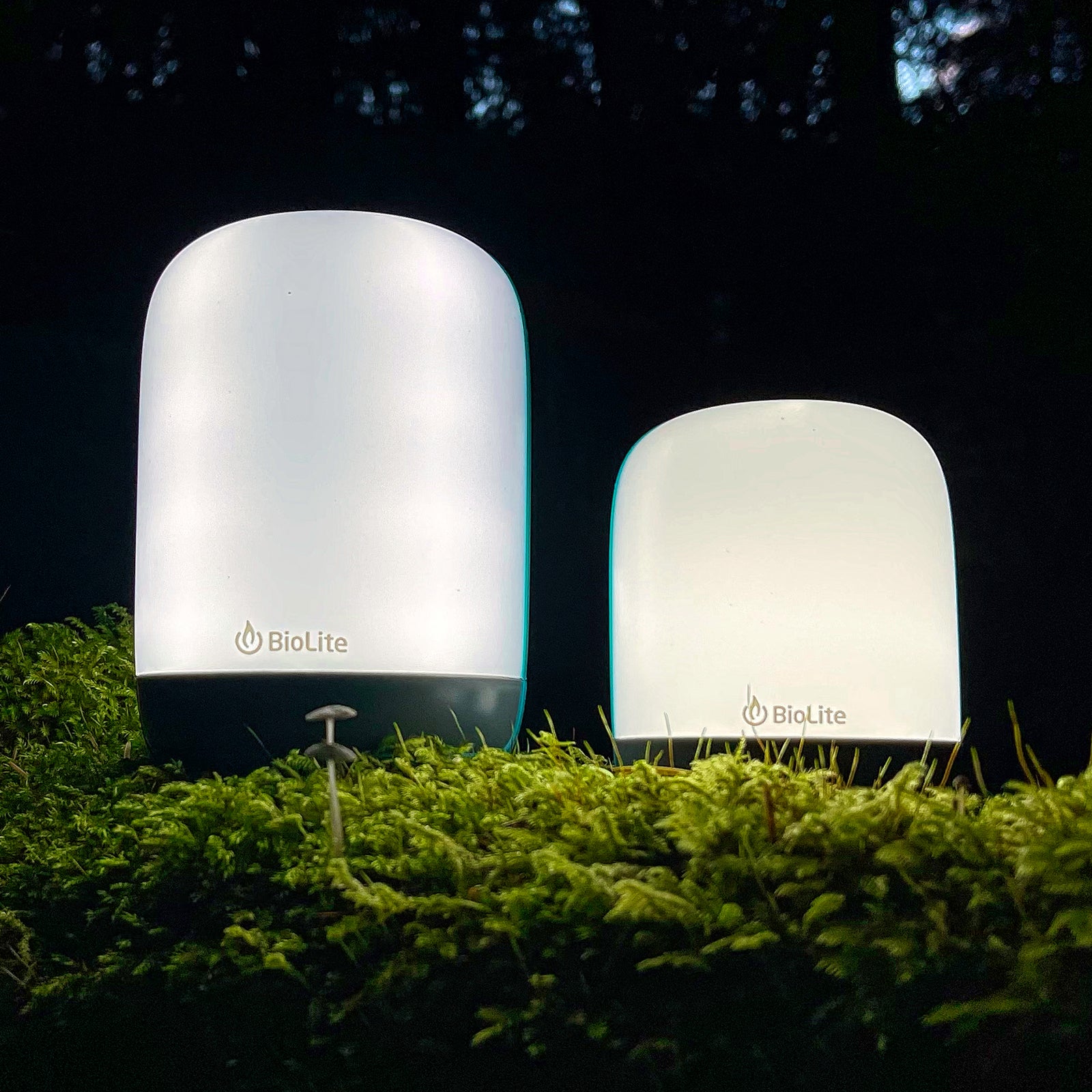 This portable LED lantern shines light on your outdoor adventures