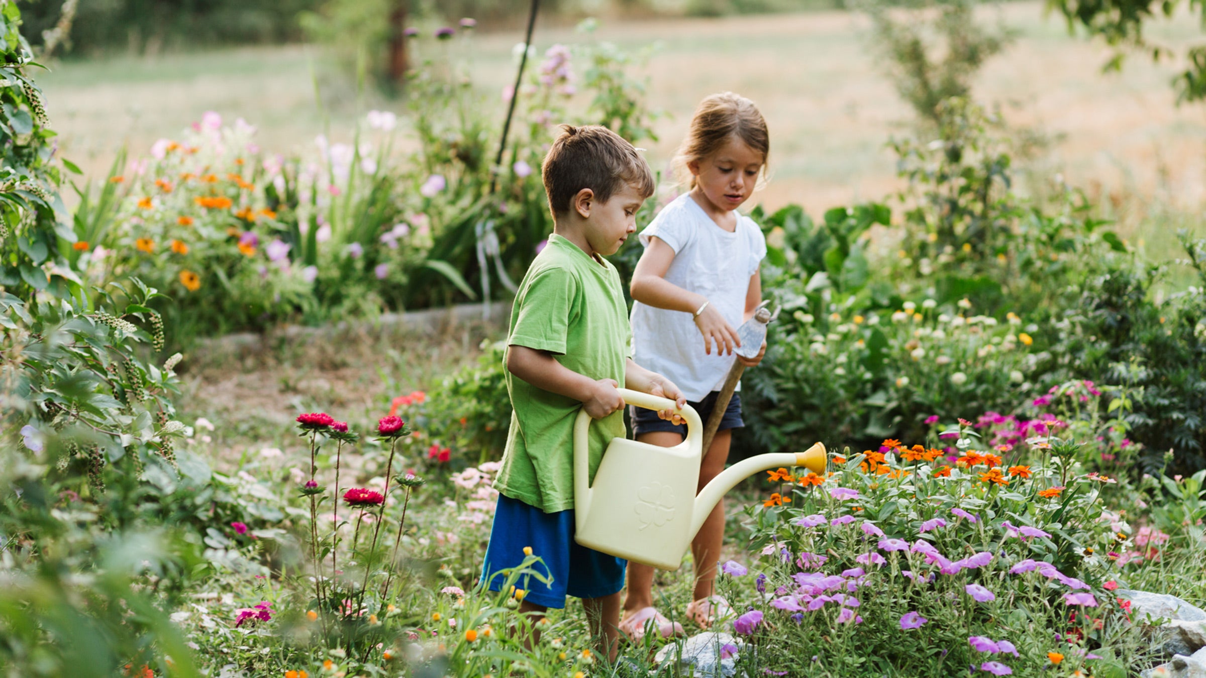 The narrative around grass lawns is changing—the connotations shifting and increasingly problematic.
