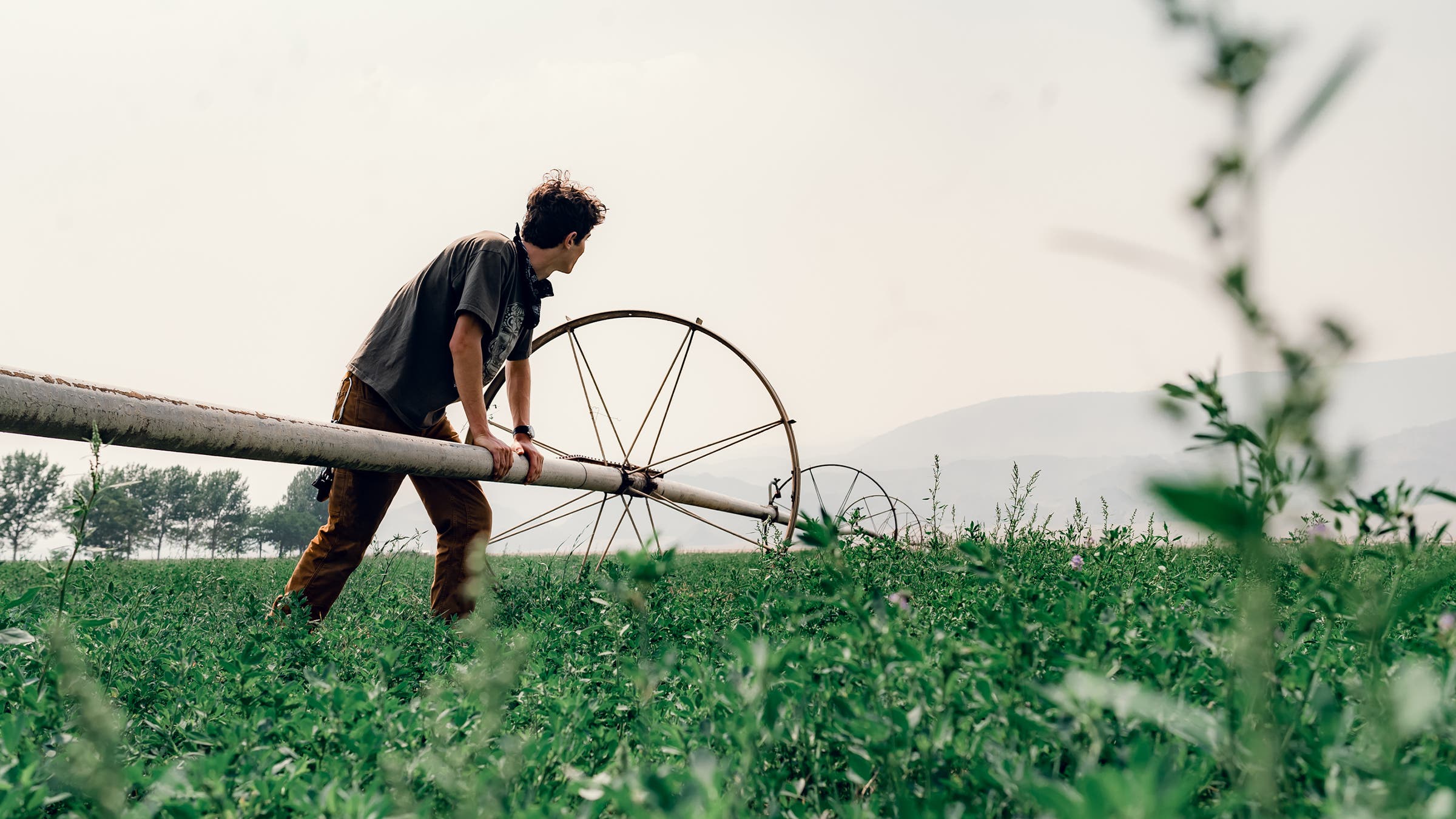 Declan Rexer adjusting an irrigation line