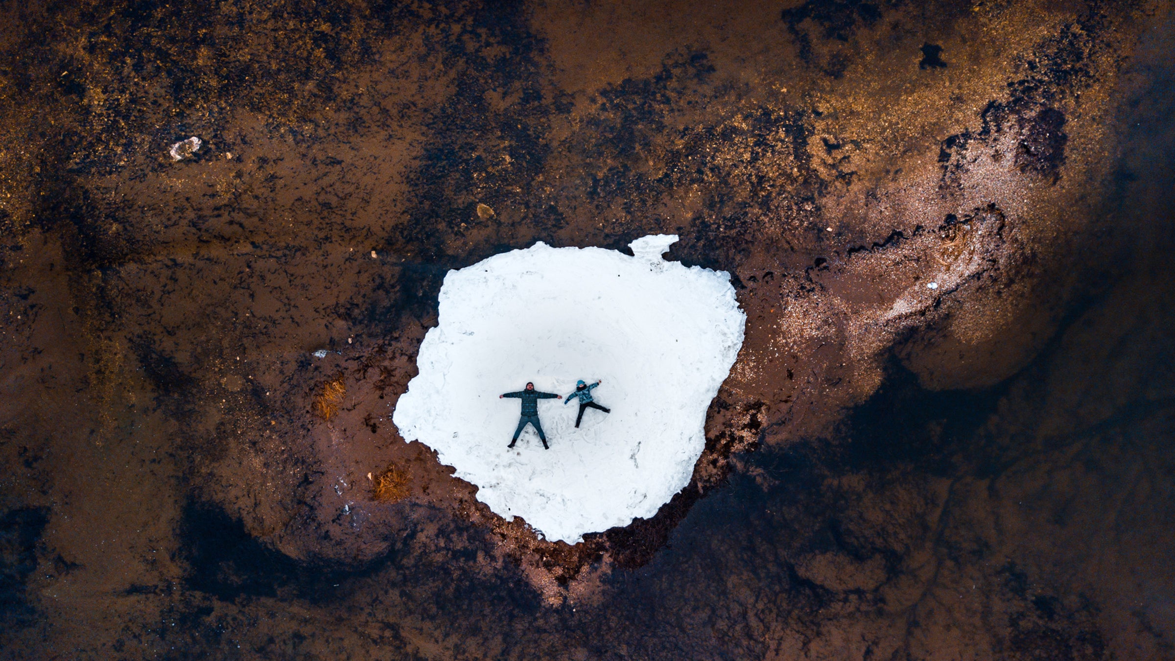 Richard Powers’s new novel feels dangerously, unsettlingly familiar.