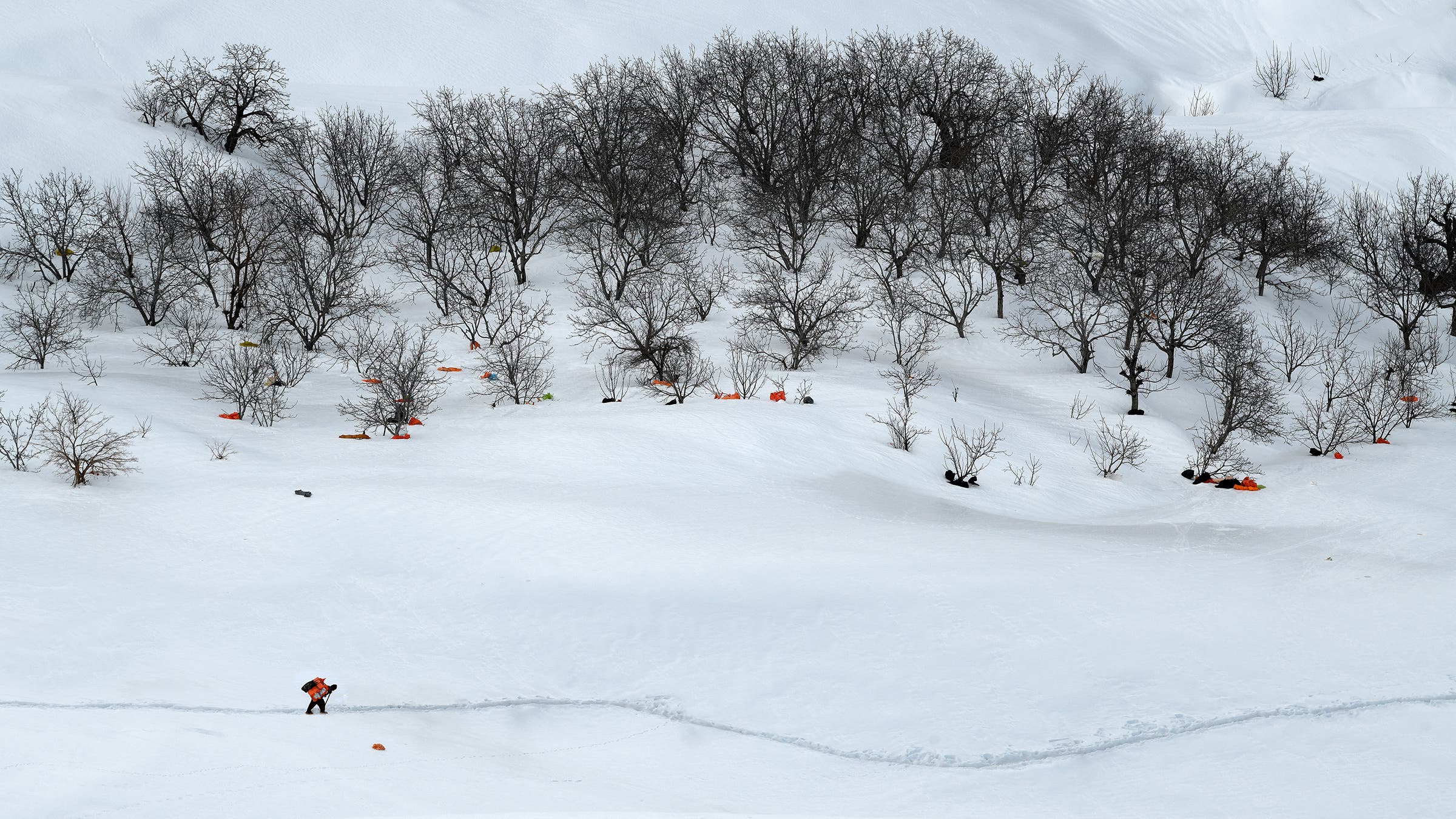 In a typical winter, dozens of kolbars will die from exposure to the dangerous and unpredictable conditions.