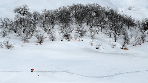 In a typical winter, dozens of kolbars will die from exposure to the dangerous and unpredictable conditions.