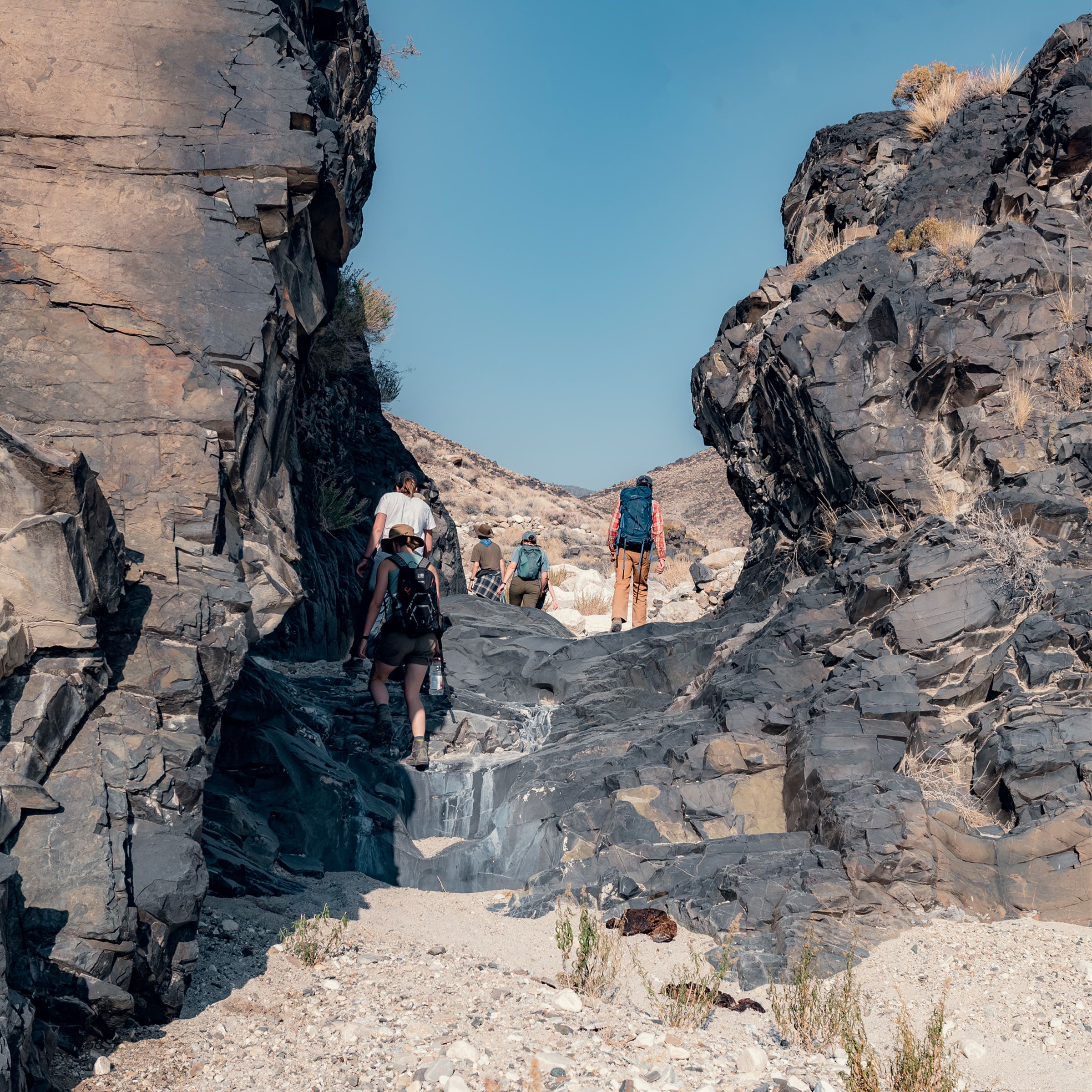 A group of students hiking in a marble canyon in the valley
