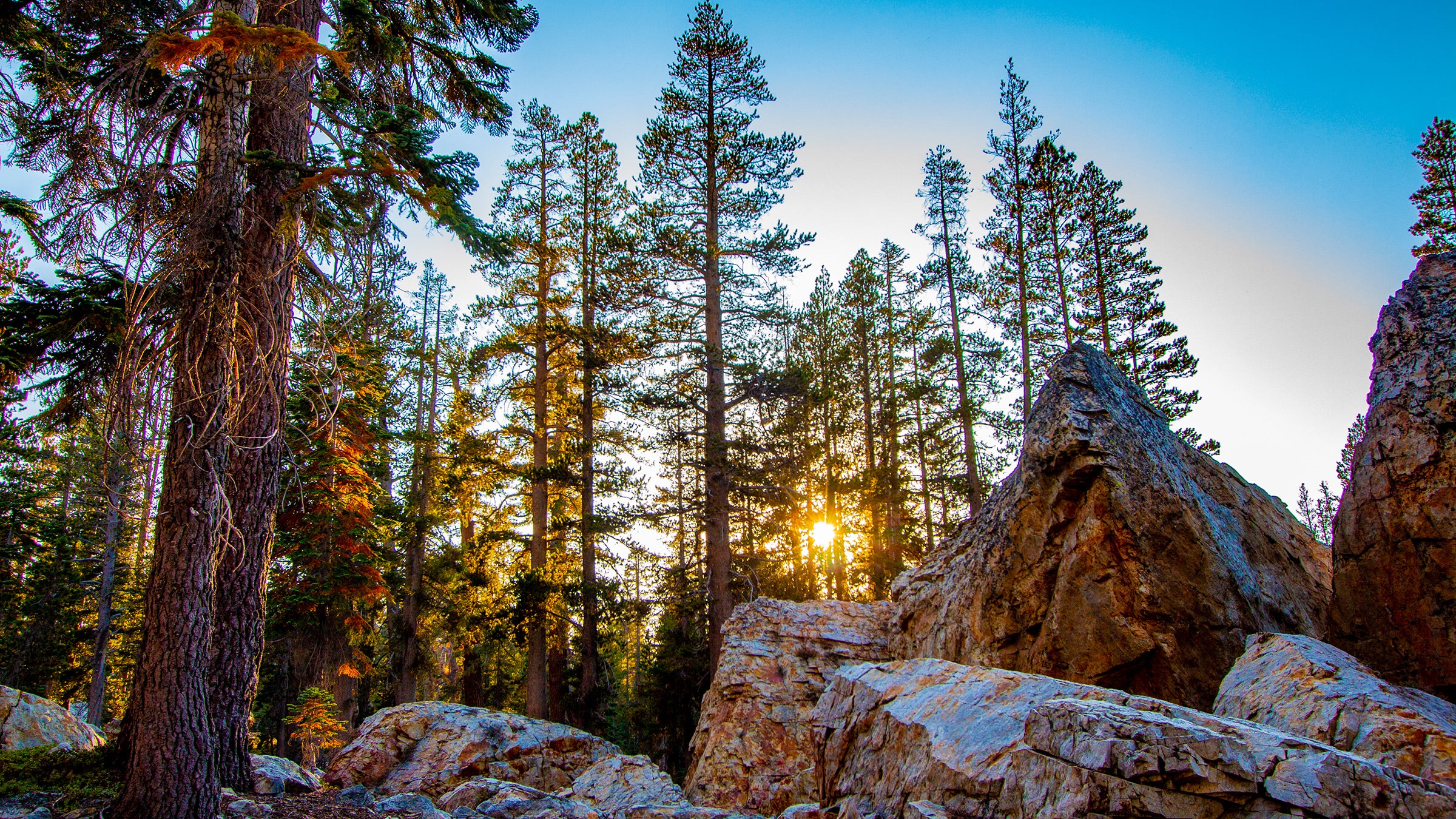 A family died of "hyperthermia and probable dehydration" in Sierra National Forest on a day when temperatures hit 109 degrees.