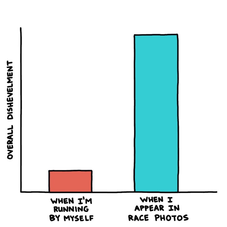 Overall dishevelment chart: "by myself" lower than "in race photos"