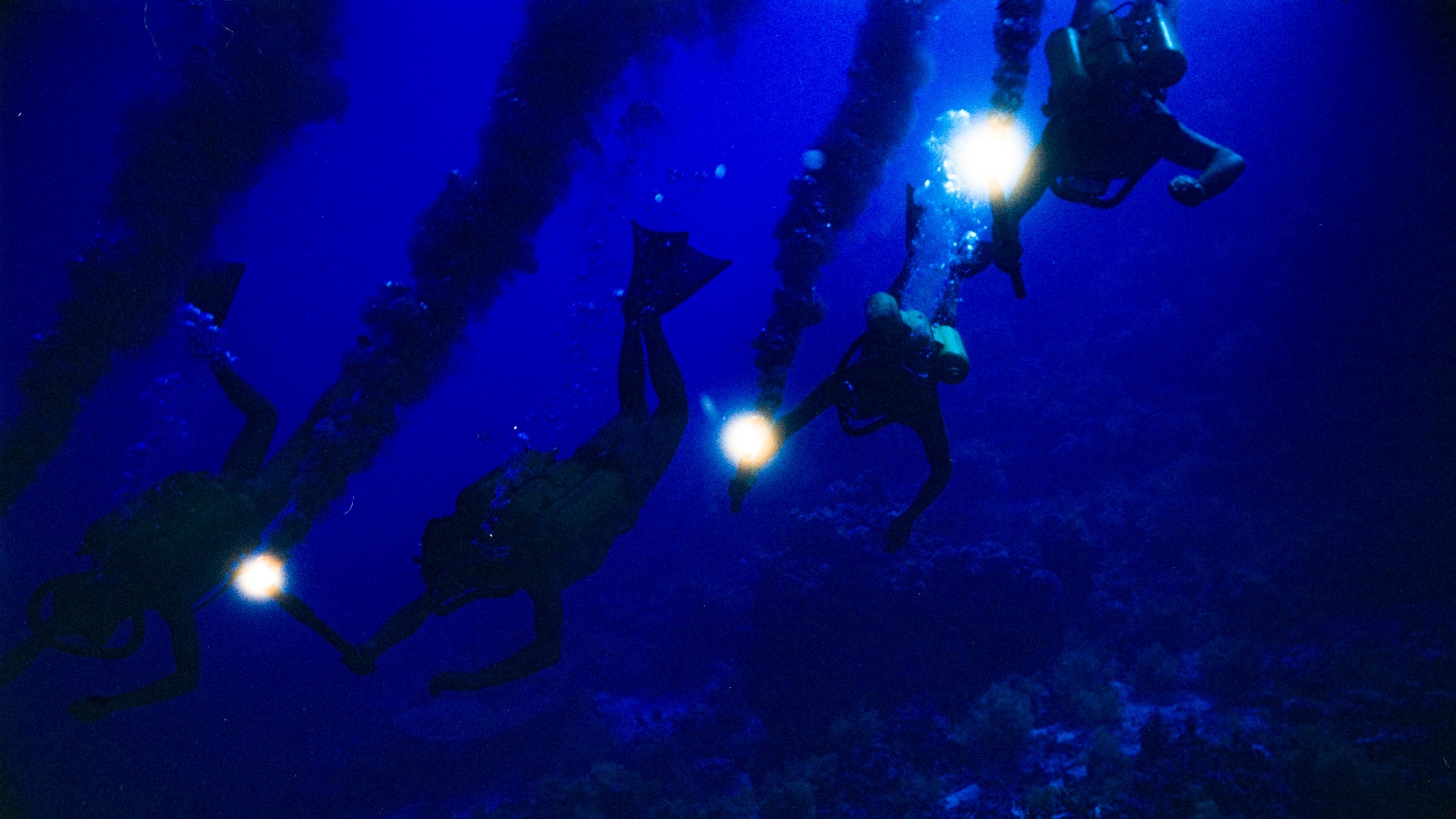 <i>Becoming Cousteau</i> draws from hundreds of hours of archival footage to tell the story of the famed explorer.