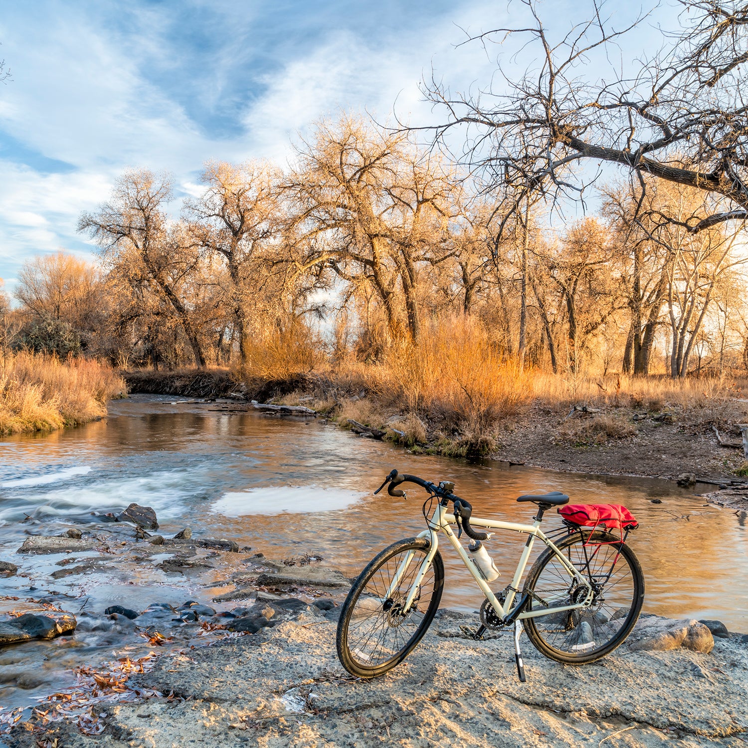 heavy duty bike kickstand