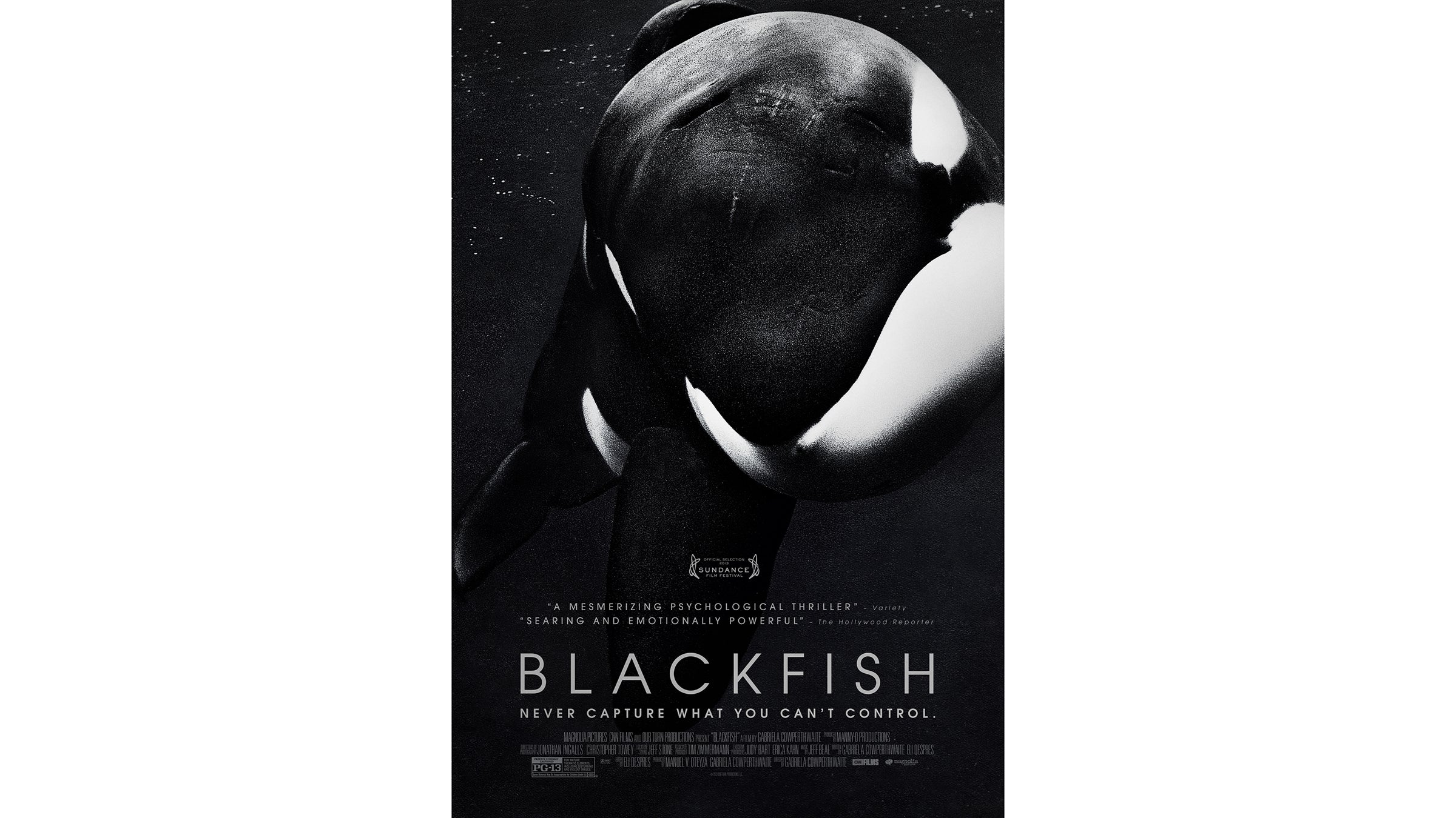 The Outside Story Behind The Documentary ‘Blackfish’