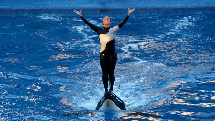 Dawn Brancheau performing with an orca at SeaWorld
