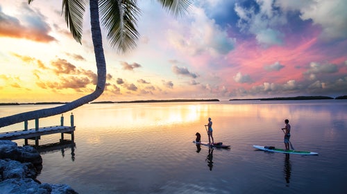 a couple and their dog paddle boarding in the florida keys during sunset