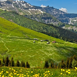 Summer resort Chalets d'Hermance, alp in a pre-alpine landscape with pastures and forests near Megeve, Savoie, France
