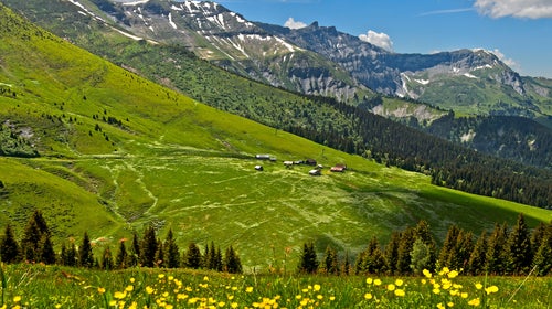 Summer resort Chalets d'Hermance, alp in a pre-alpine landscape with pastures and forests near Megeve, Savoie, France