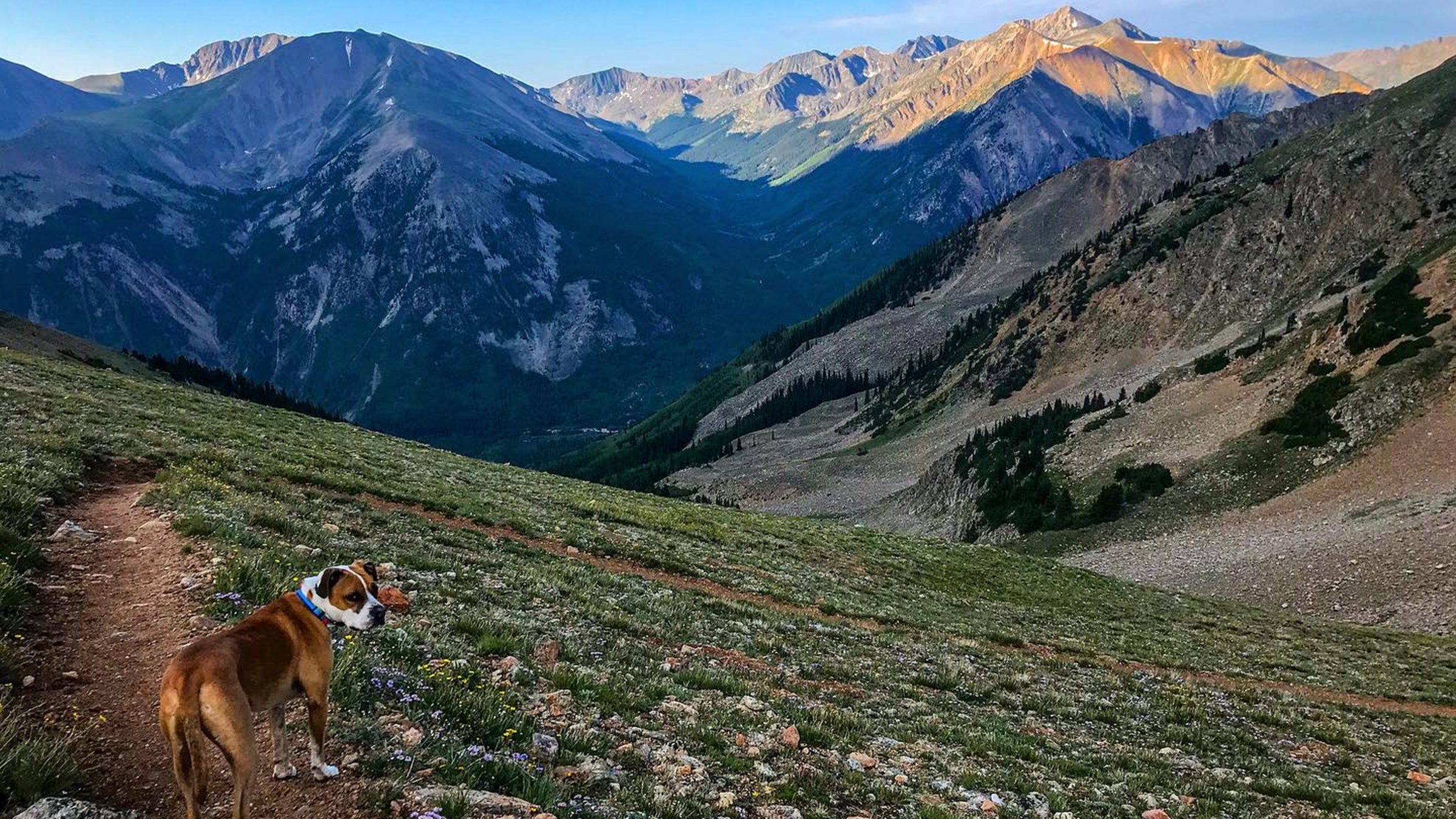 I’ve lived in a lot of different places, but this was the first time I had chosen a home because I wanted to be there; not for a job, not for a person, just for the place.