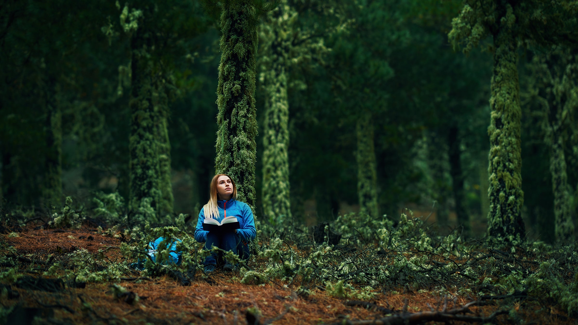 person in the woodland sitting and reading a book