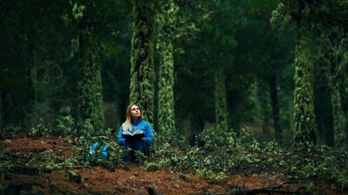 person in the woodland sitting and reading a book