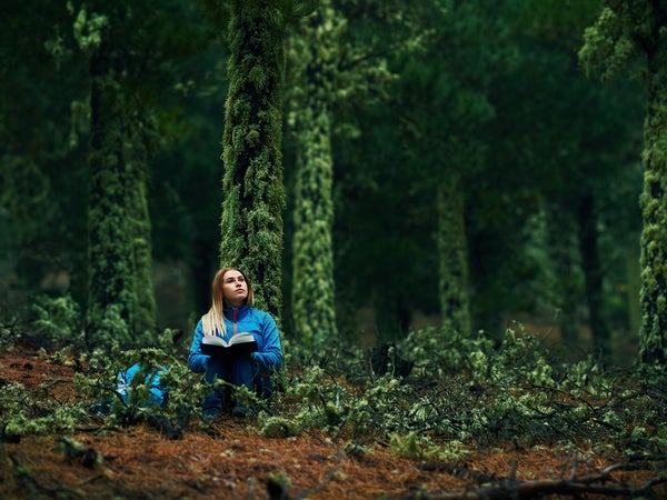 person in the woodland sitting and reading a book