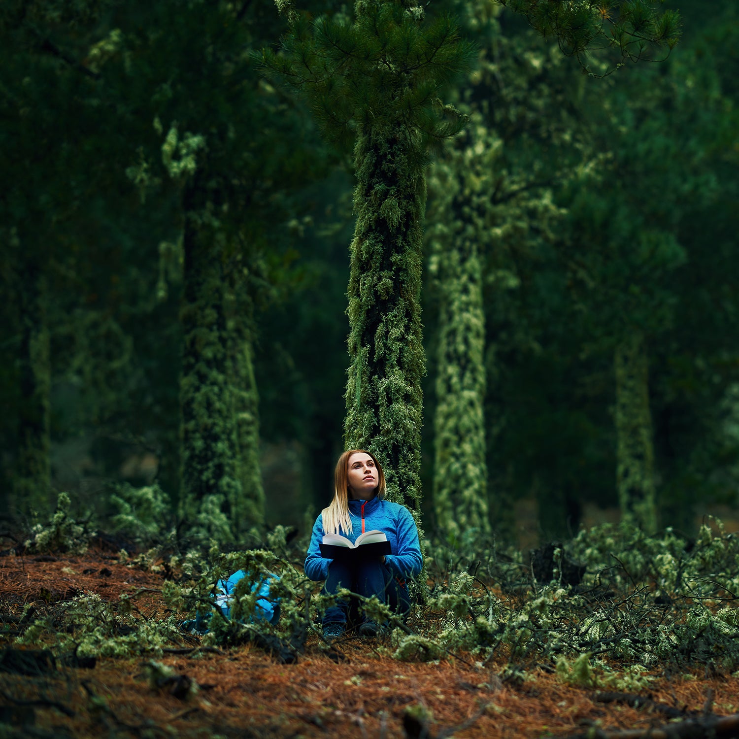 person in the woodland sitting and reading a book