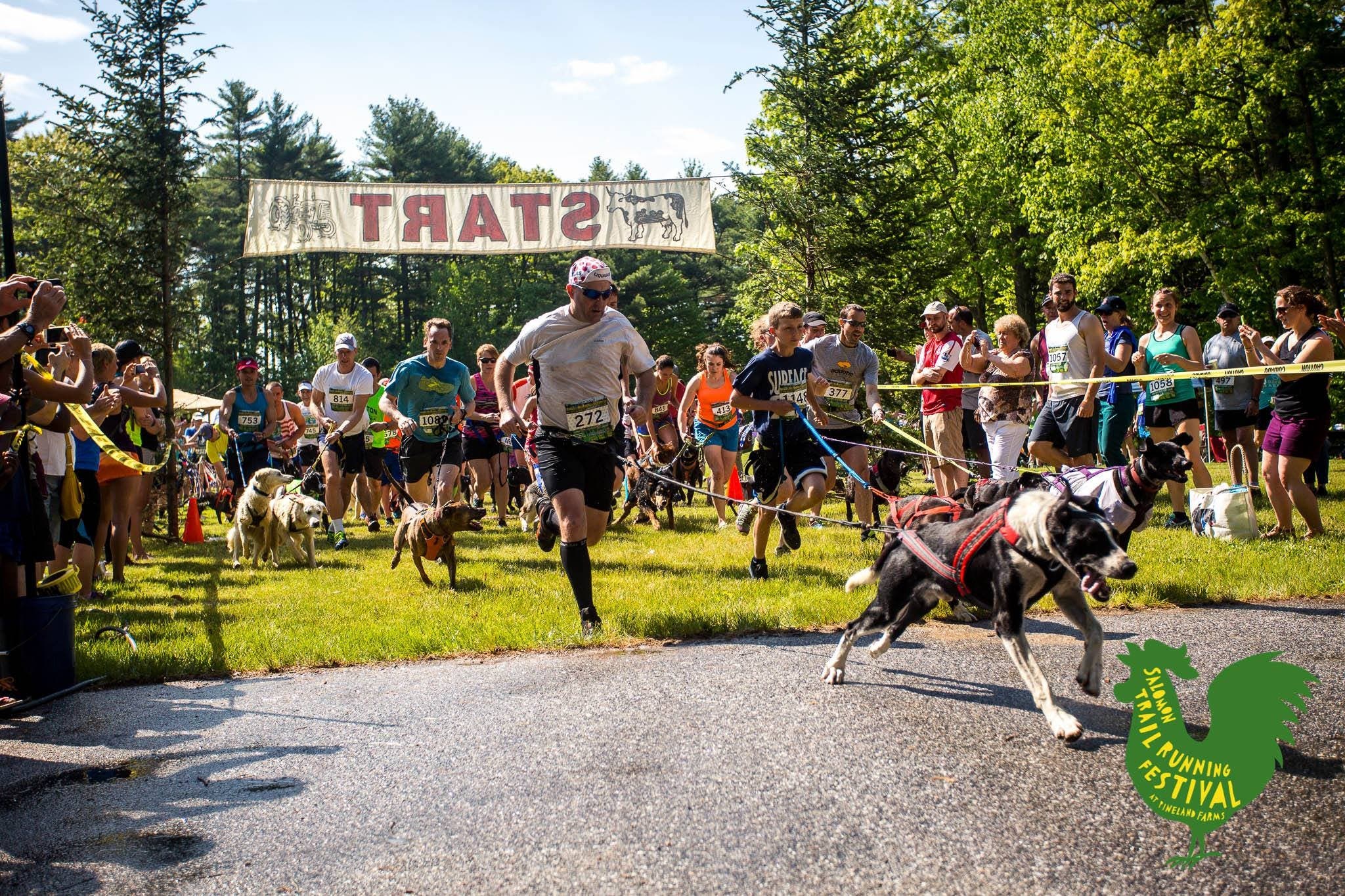 canicross start line