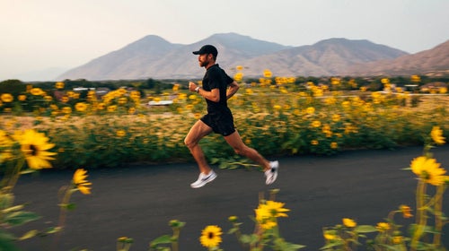 Jared Ward training amid sunflowers