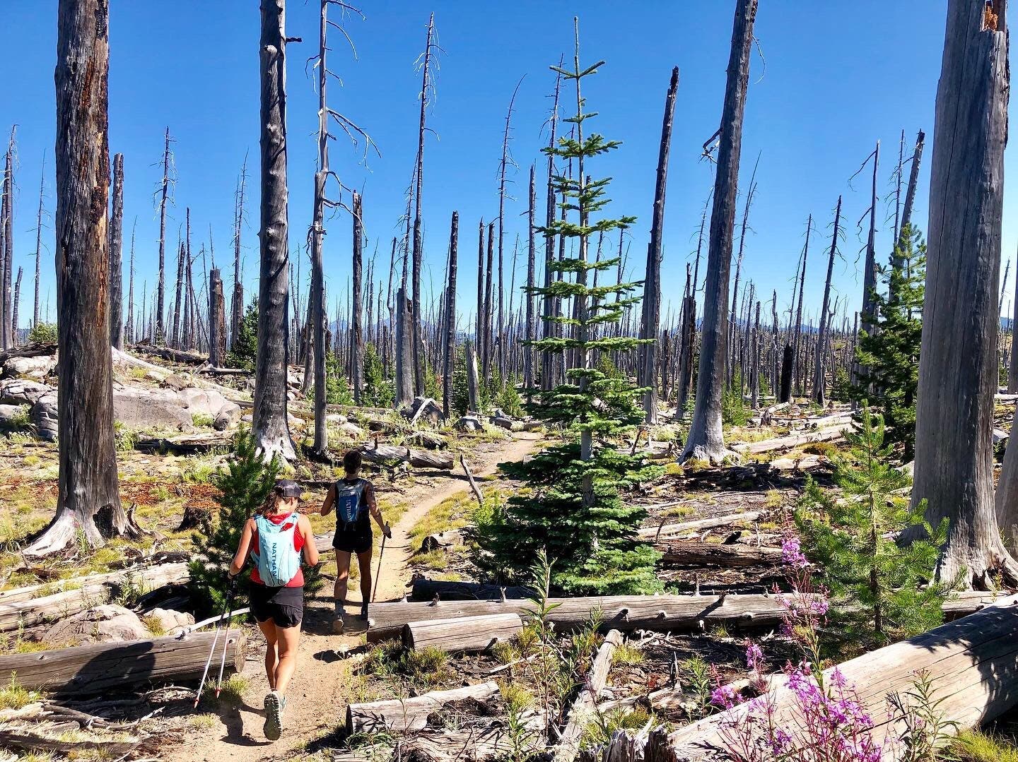 Courtesy of Danielle Snyder