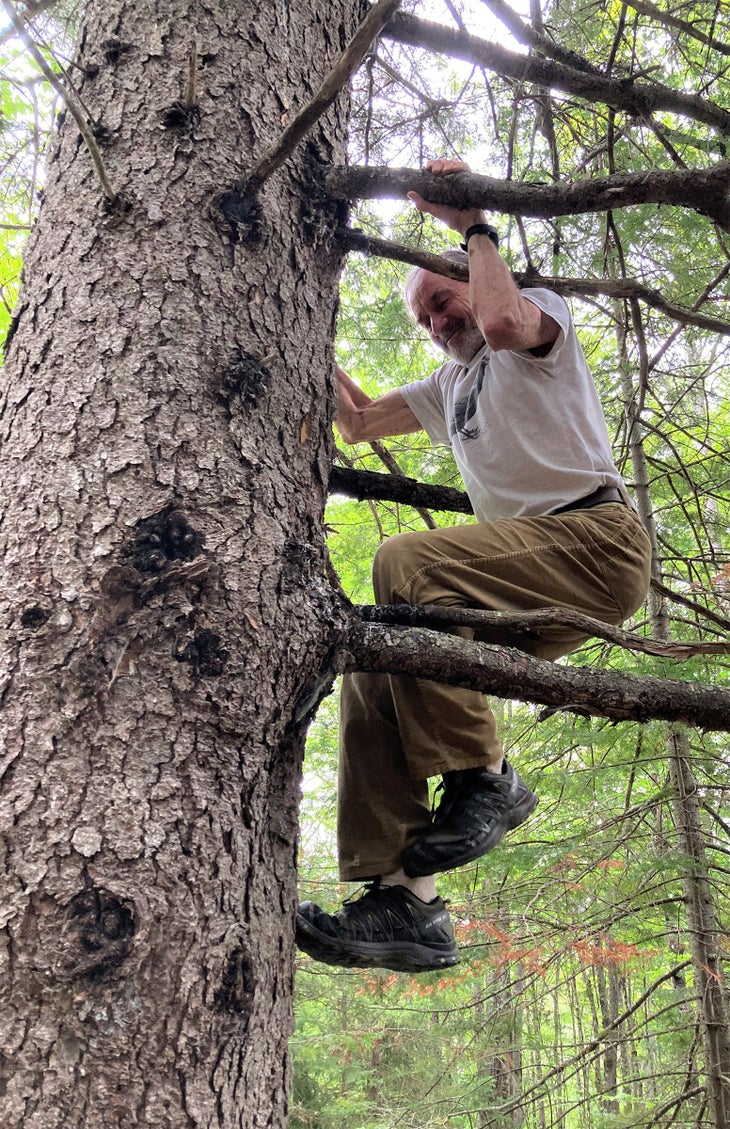 Heinrich scrambling up a tree.