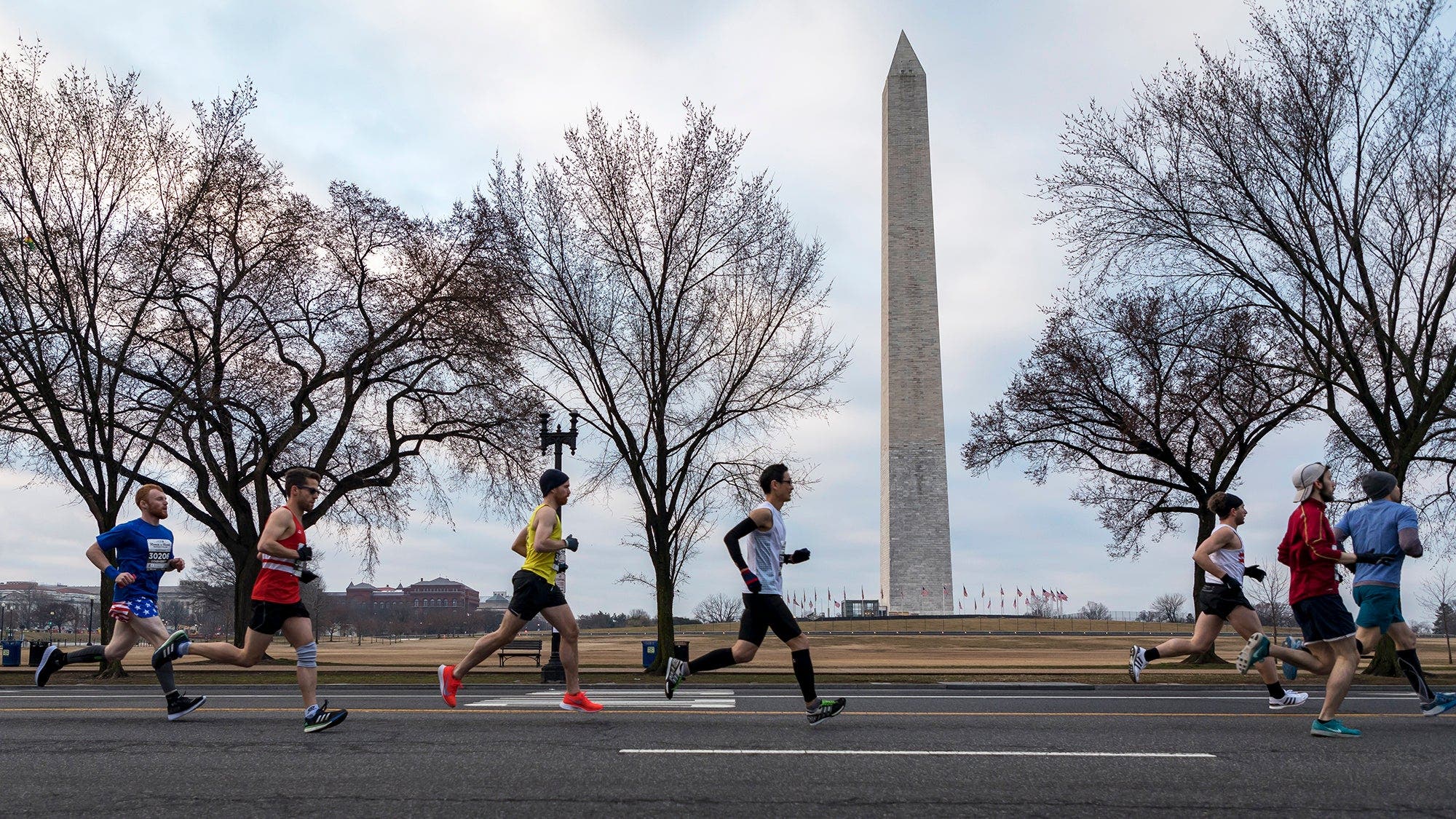 runners in a half marathon