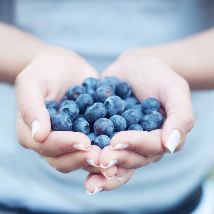 blueberries improve immunity