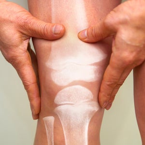 knee cartilage