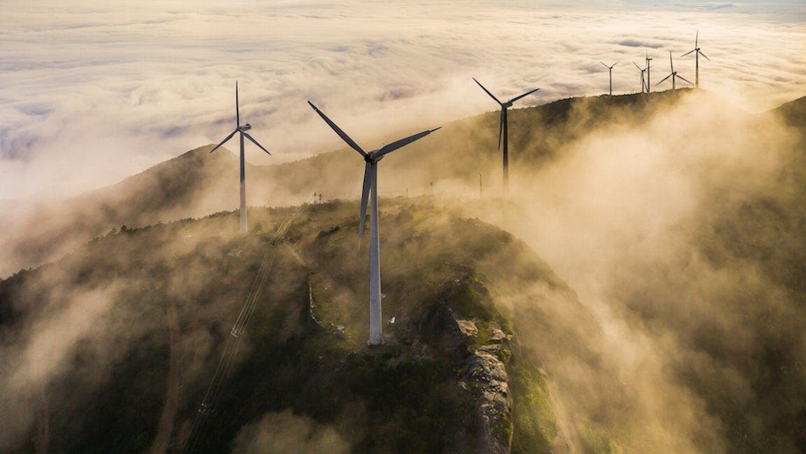 Wind farm in misty field.
