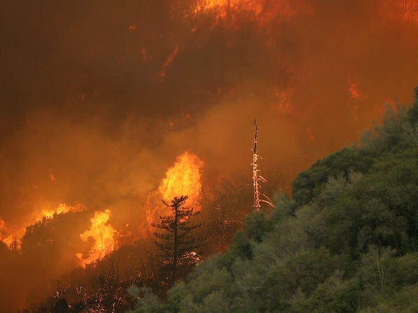 California wildfire blazing through forest.