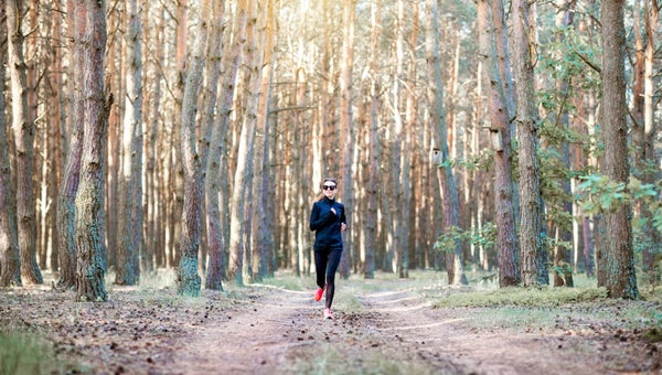 Woman in black sportswear running in the pine forest at the morning, wide landscape view/