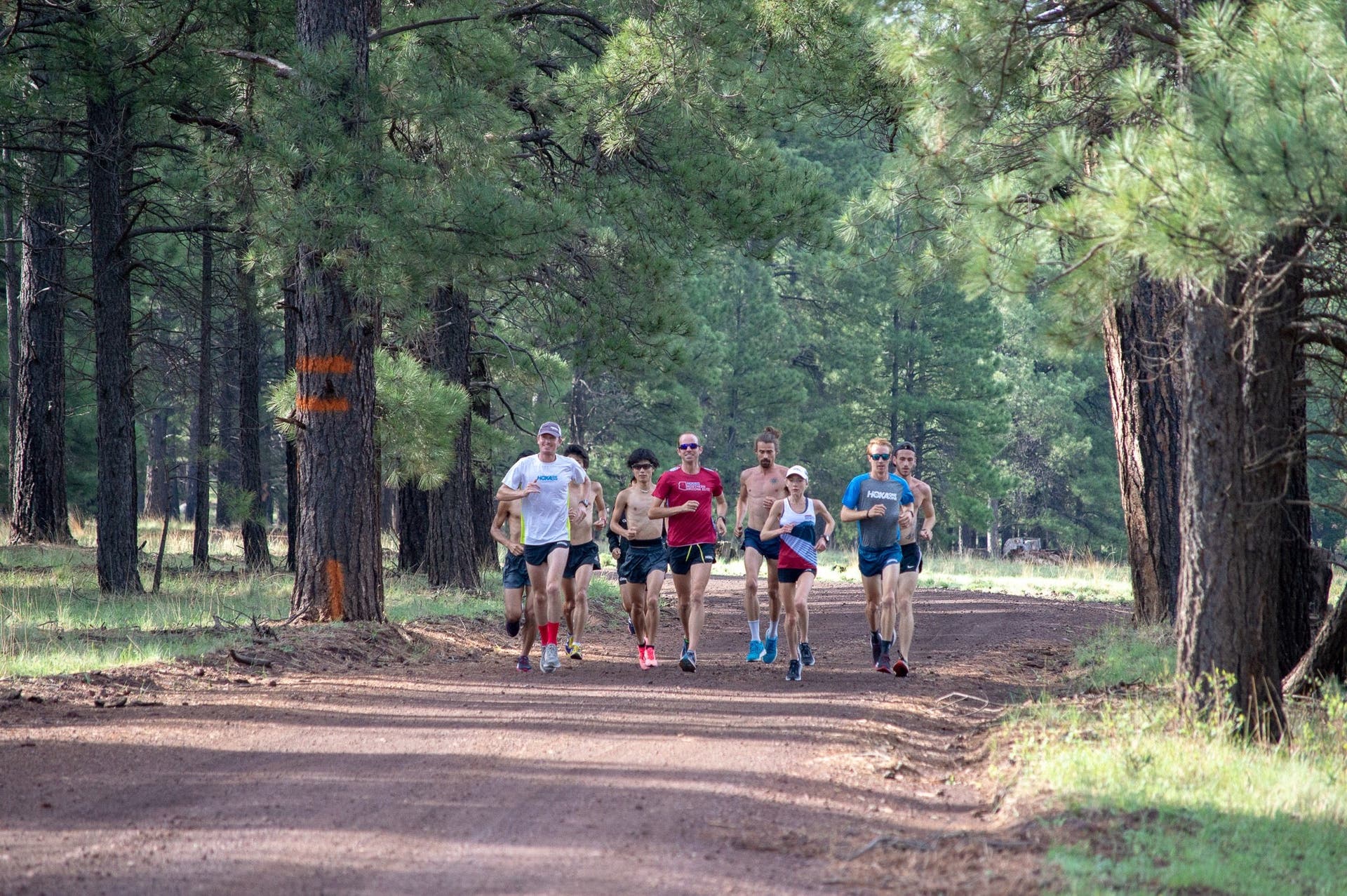 HOKA NAZ Elite and GMO Japanese runners