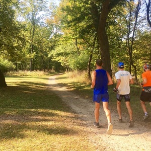 Mark Cucuzzella, Ray Mcclanahan, Neil Feldman