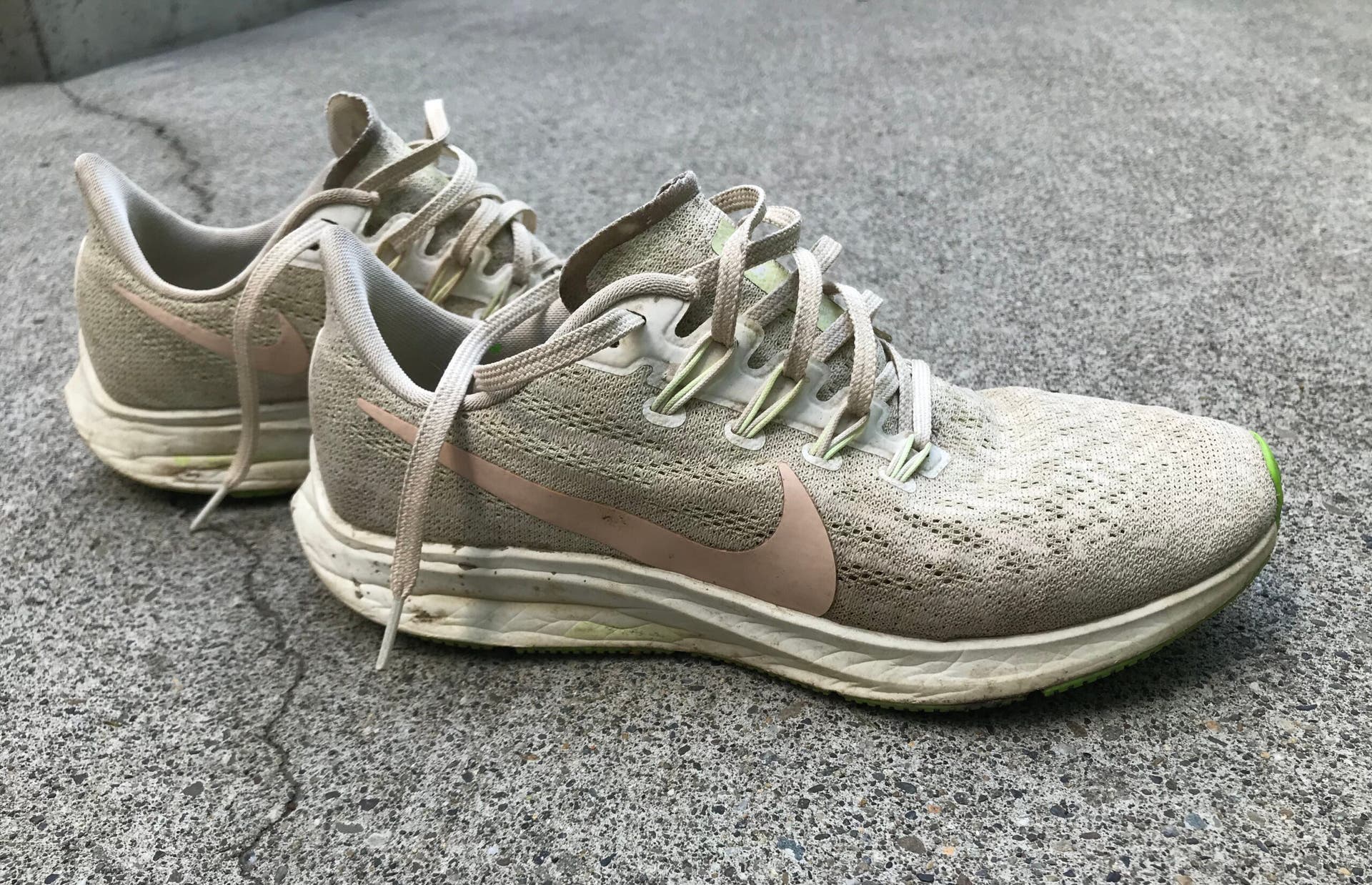 Nike Pegasus 36_EC_afterIMG_3134