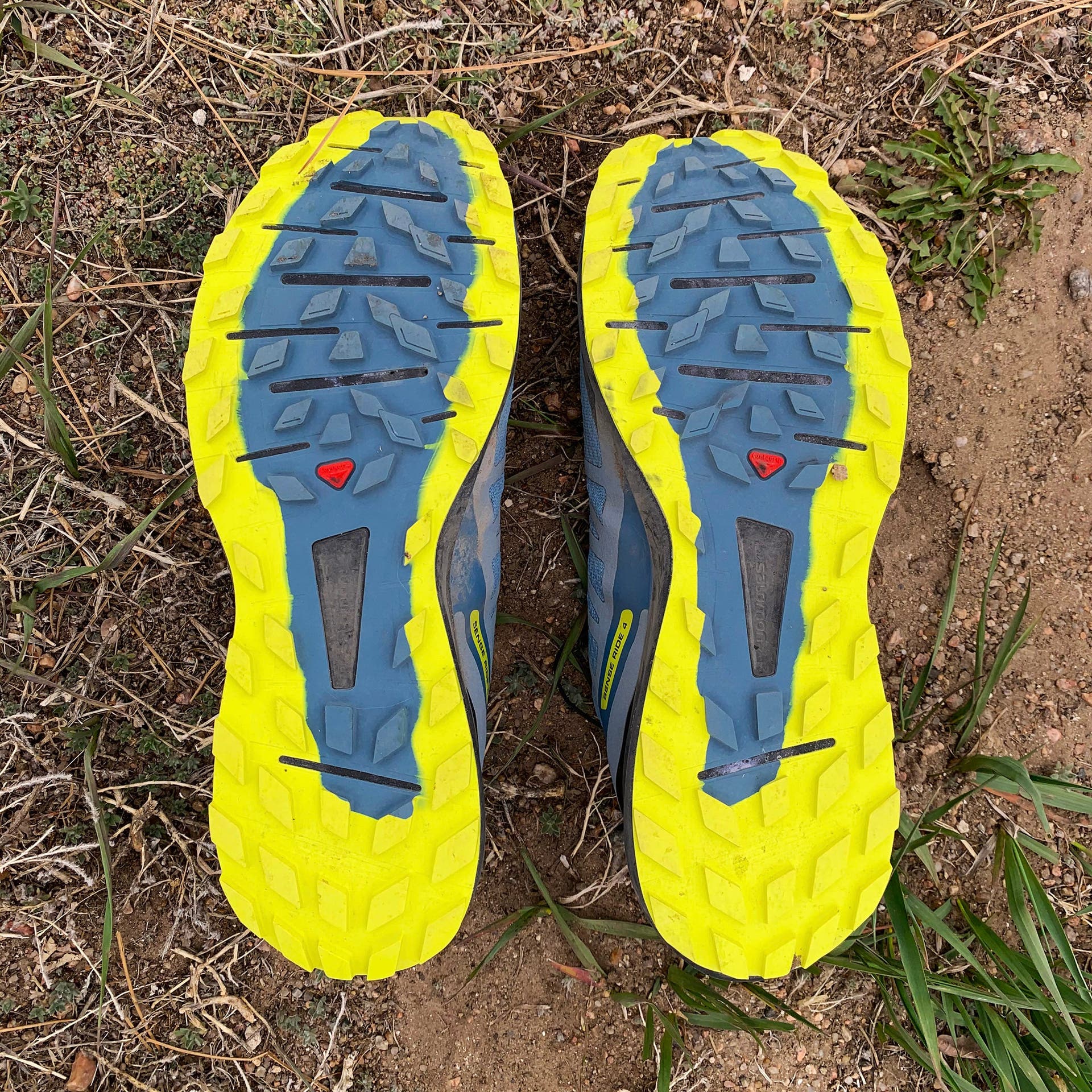 Salomon Sense Ride 4