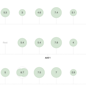 Screenshot of a Strava training log.