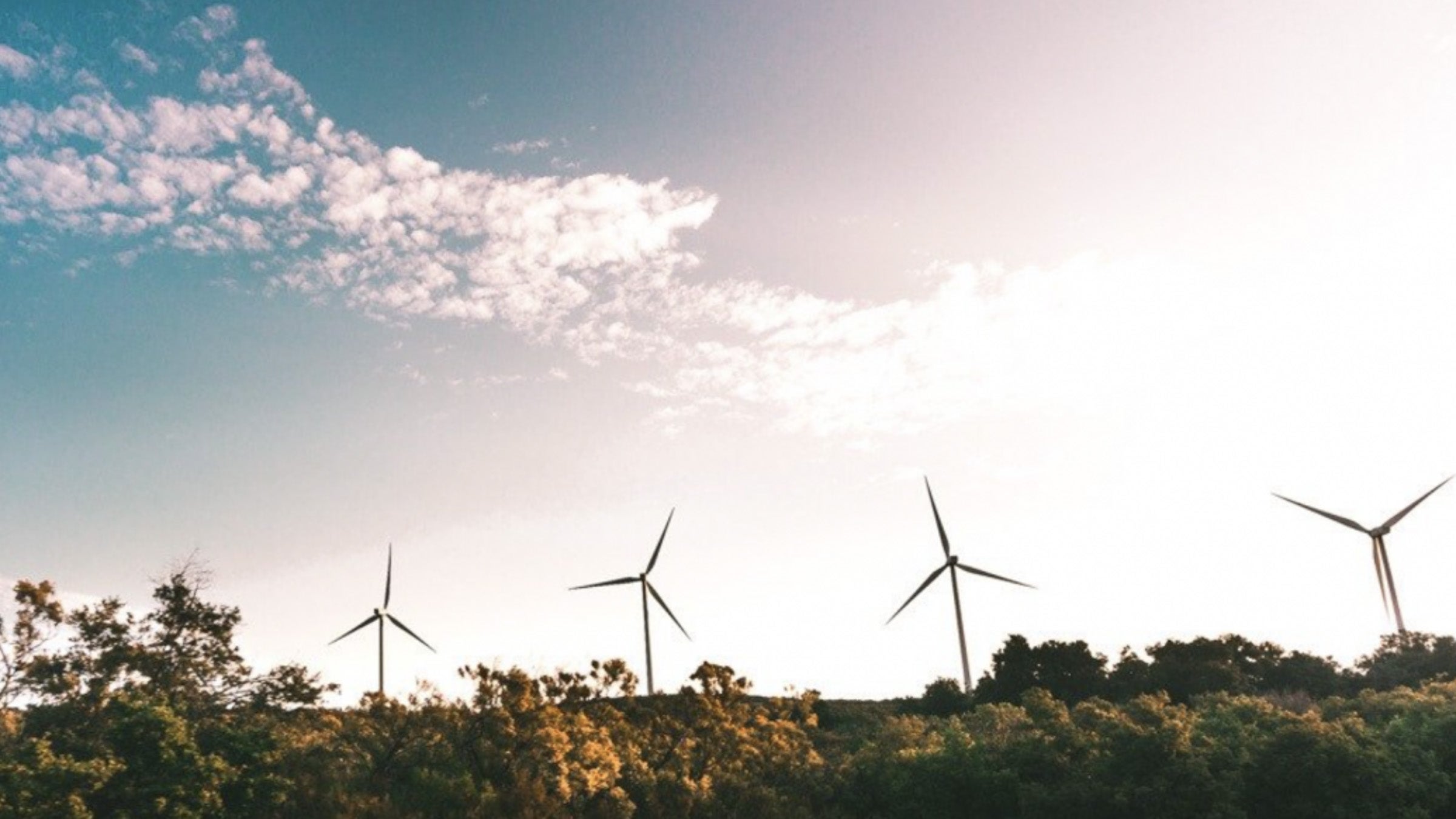 Wind power turbines behind trees against a blue