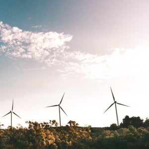 Wind power turbines behind trees against a blue