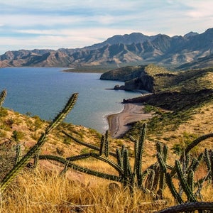 Baja California Sur, where the Sonoran Desert meets the Sea of Cortez