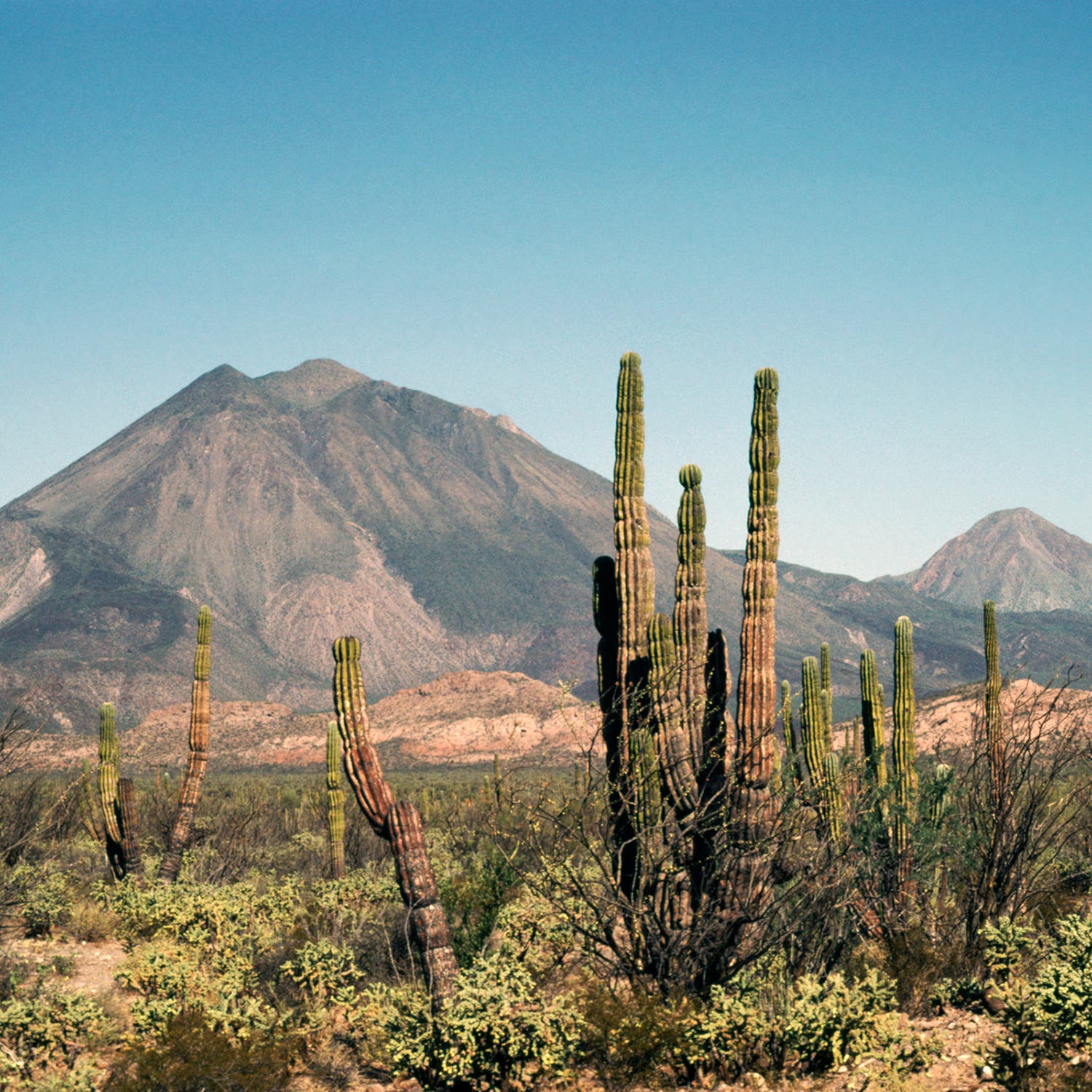 Tres Virgenes in Baja
