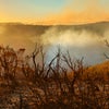 One Photographer's Mission to Capture America's Tumbleweed Invasion