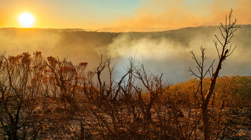Sun setting in burnt smouldering mountain landscape with smoke filled valley after forest fire, bushfire in Blue Mountains, Australia