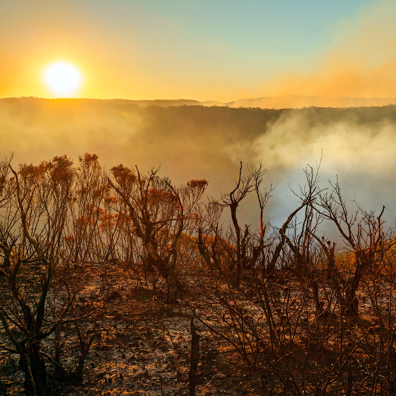 Sun setting in burnt smouldering mountain landscape with smoke filled valley after forest fire, bushfire in Blue Mountains, Australia