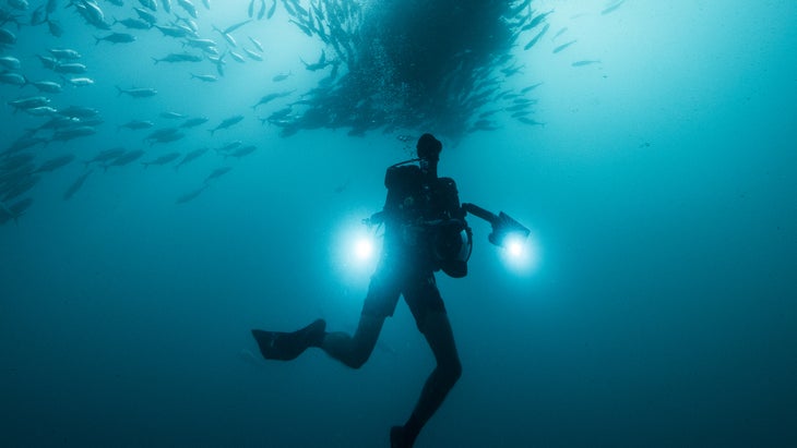 Cabo Pulmo National Marine Park