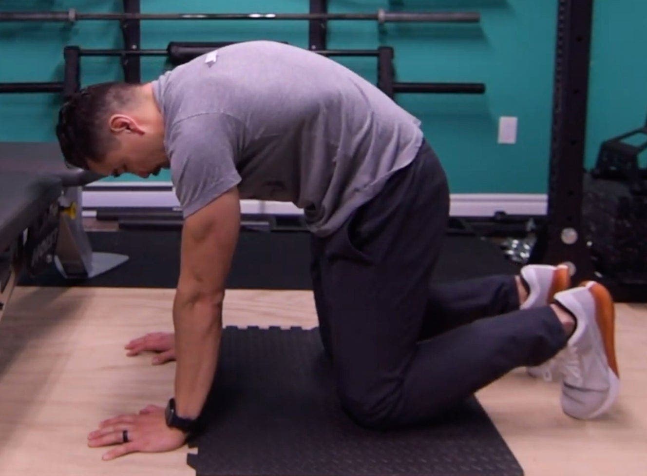 Cat pose cuing for plank