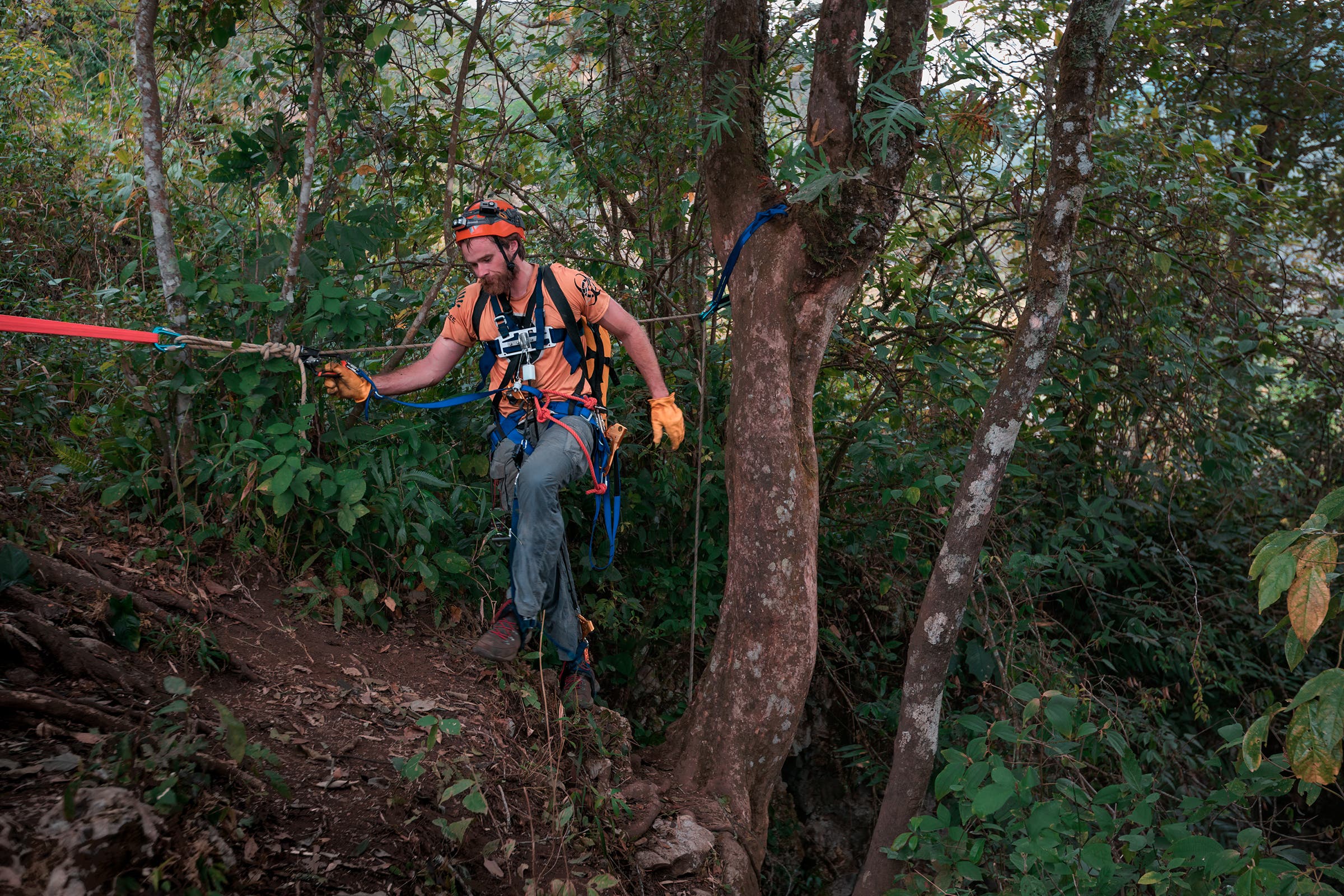 Ascending from the Cave of Swallows