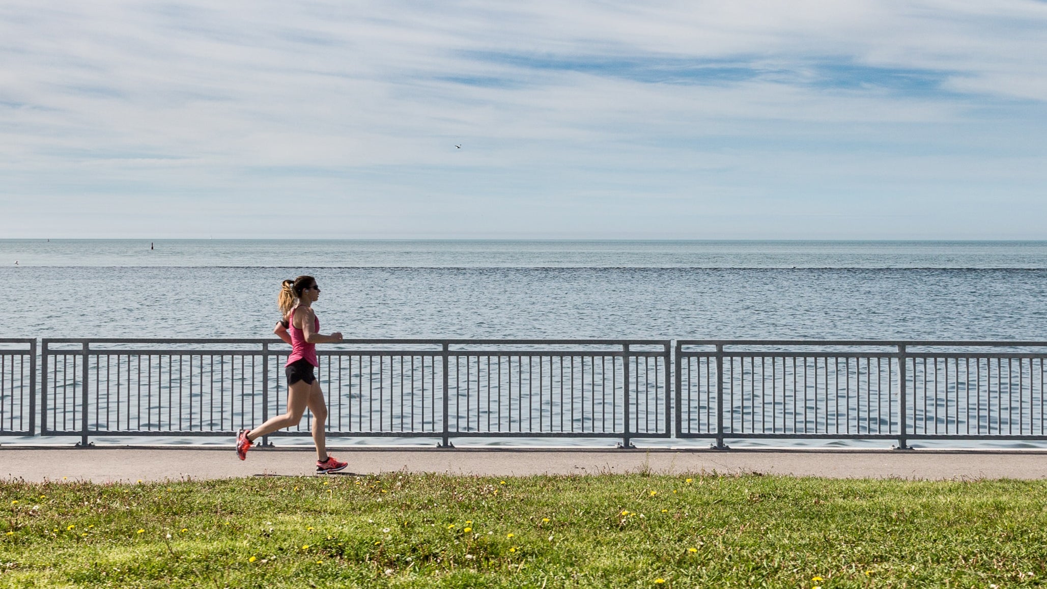 recovery run