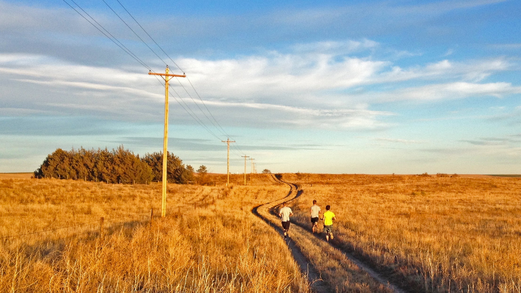 runners in autumn field