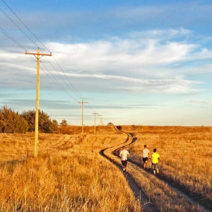 runners in autumn field