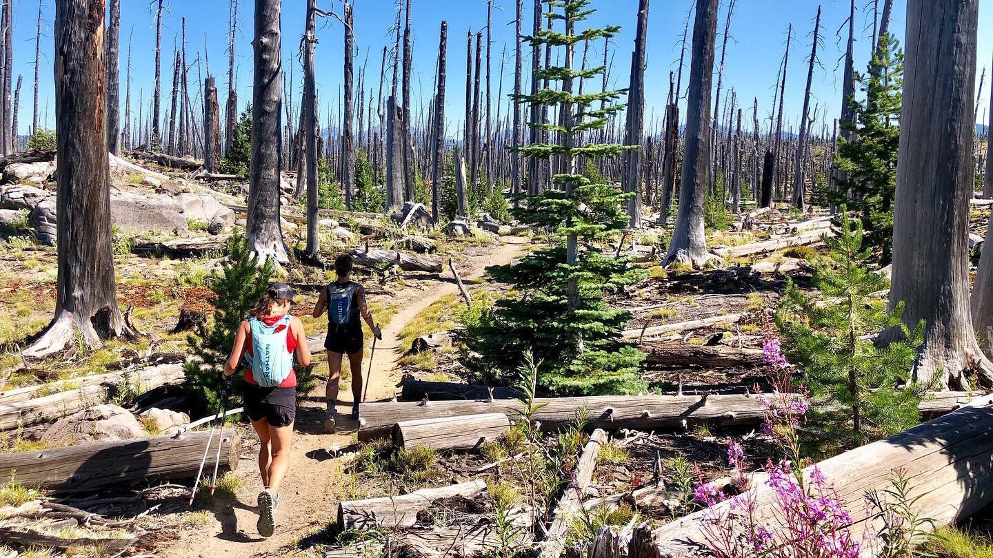 Pacific Crest Trail Oregon Hiking and Backpacking Tour